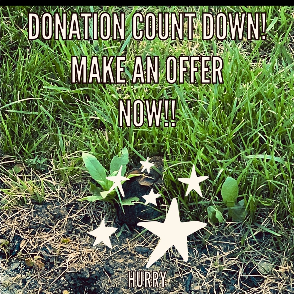 time to donate-make an offer!!